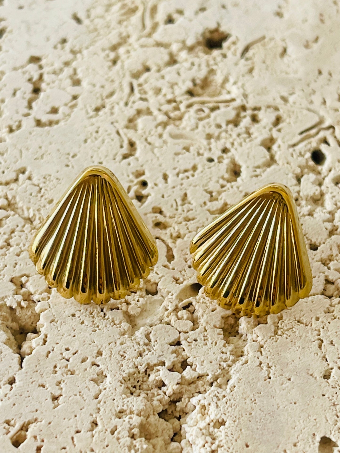 Shell earrings