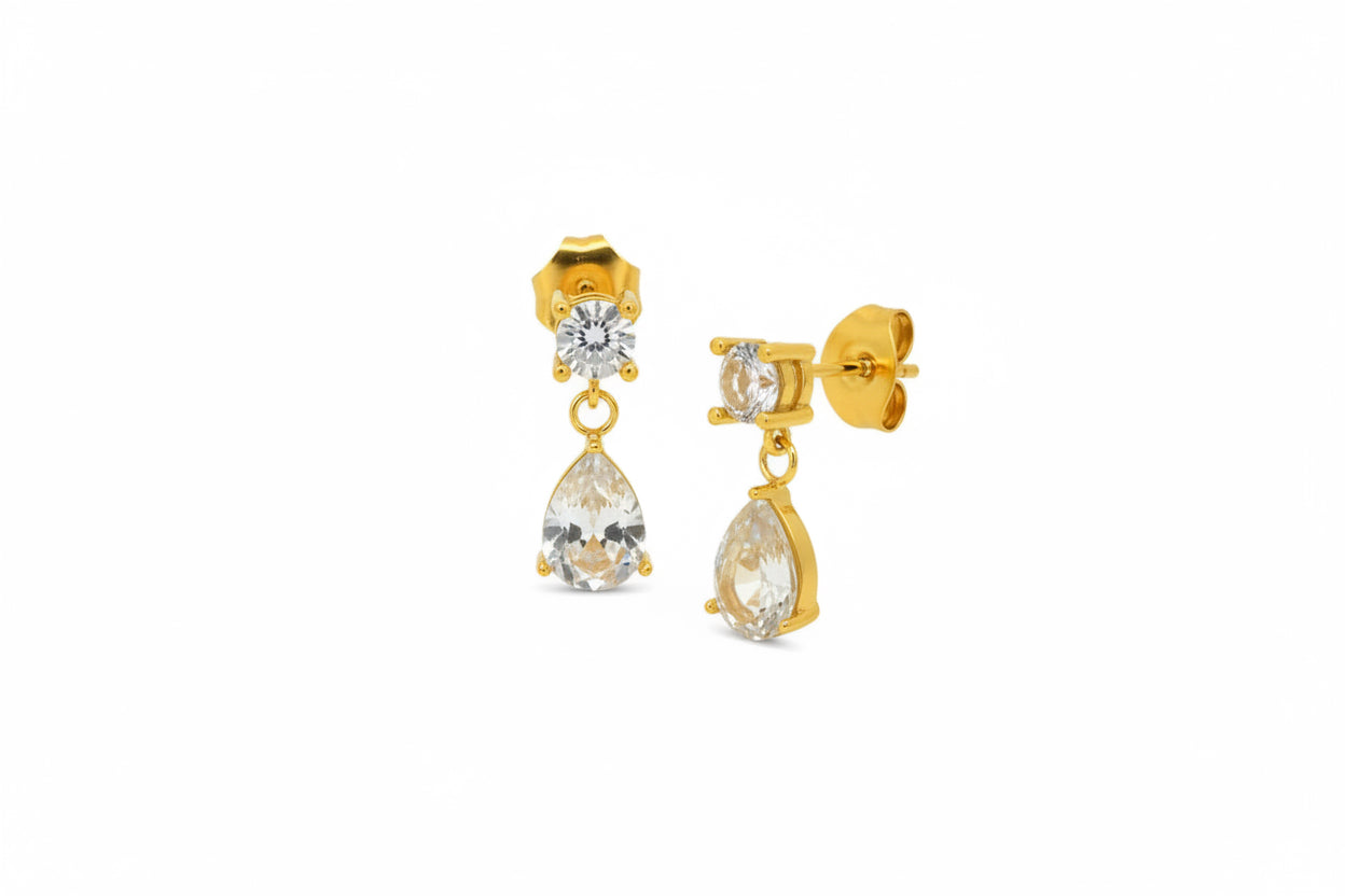Fancy earring