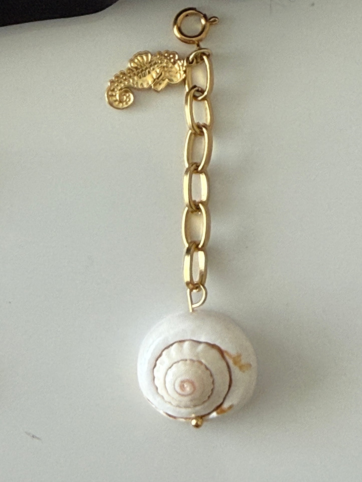 Bikini charm’s