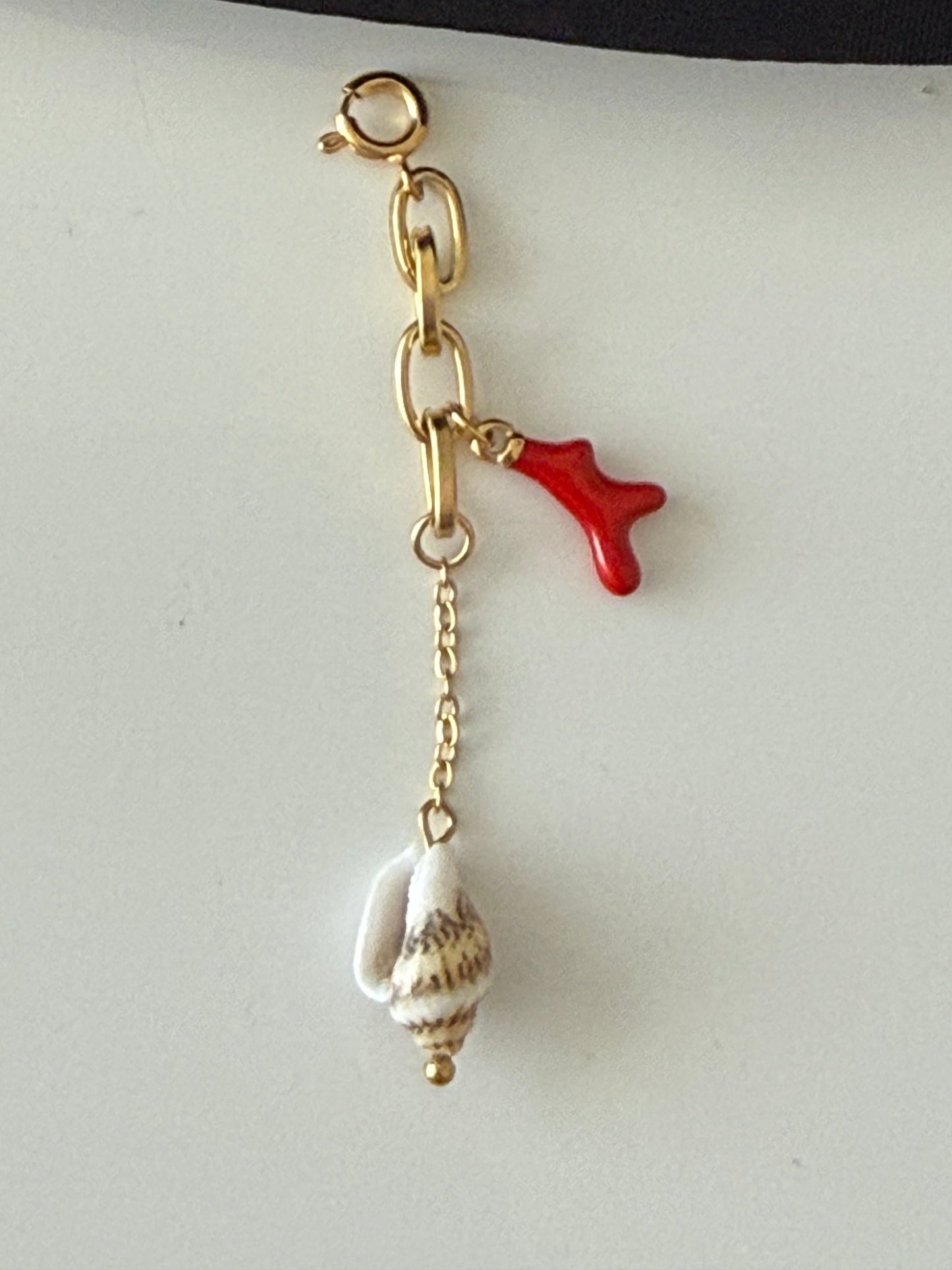 Bikini charm’s