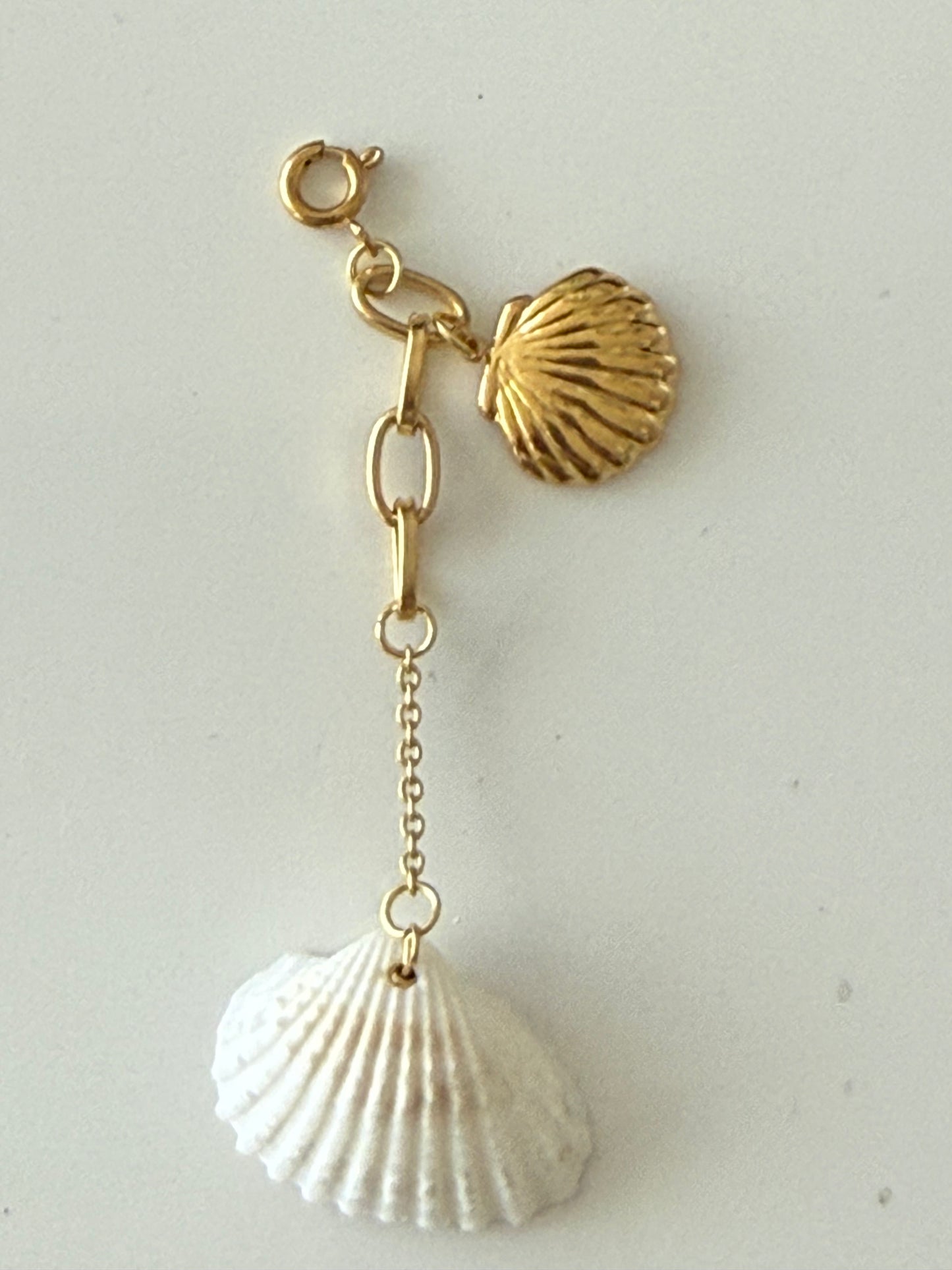 Bikini charm’s