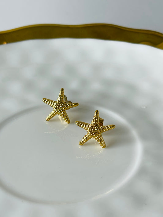 Estrellita de mar studs