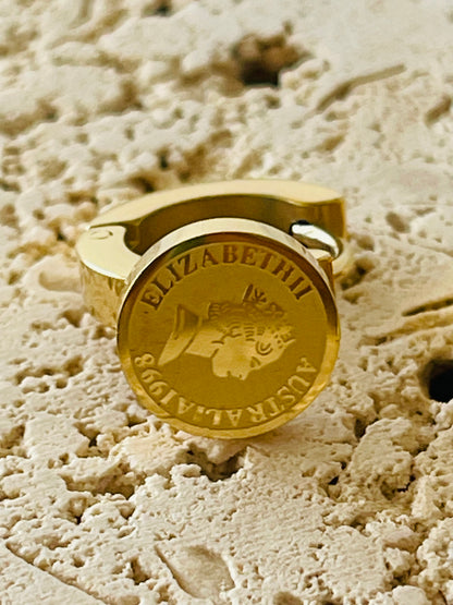 Coin earrings