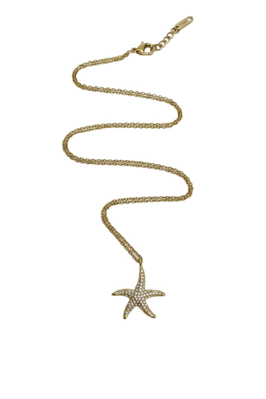 Estrellita de mar