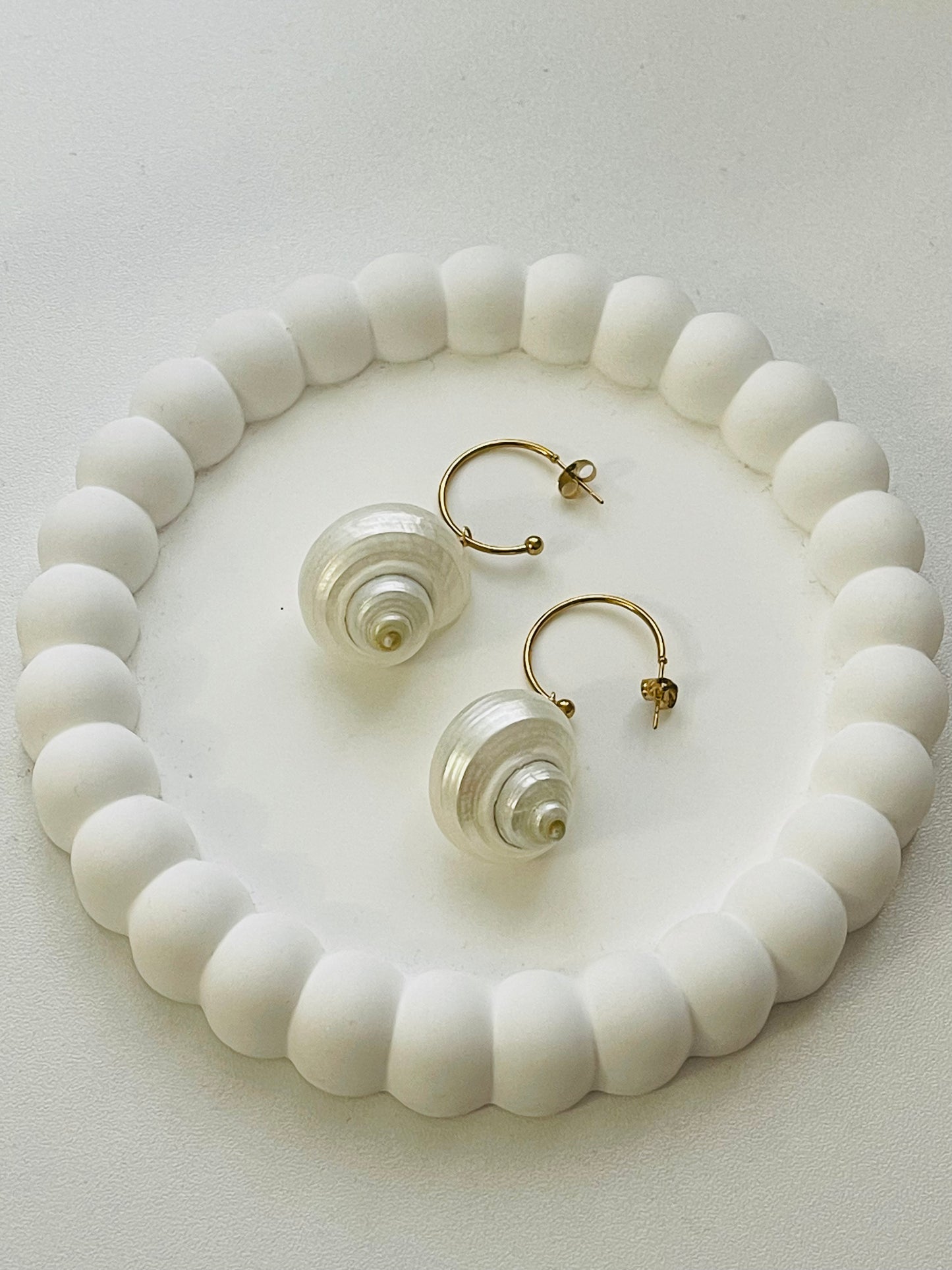 Seashells earrings