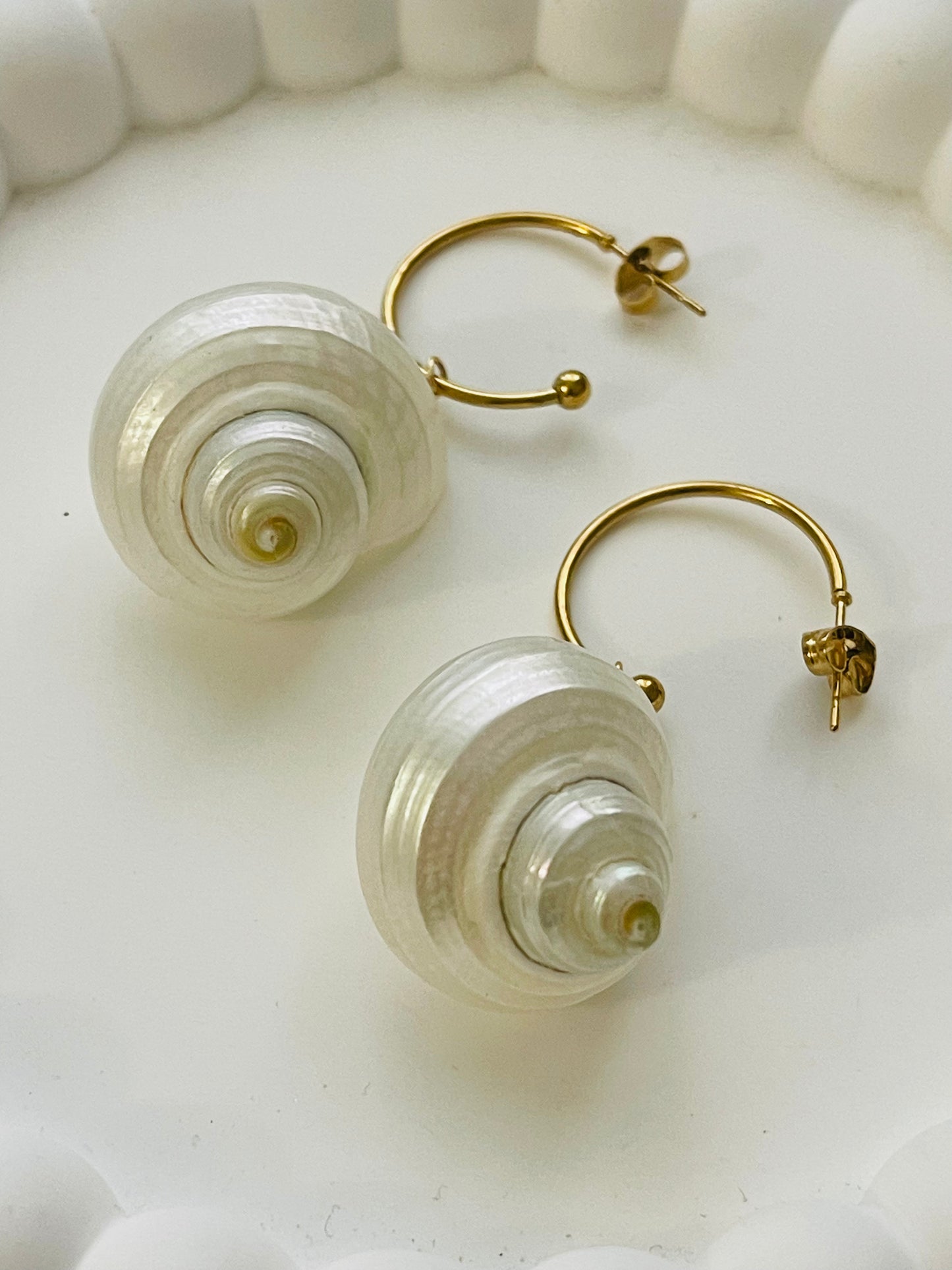 Seashells earrings