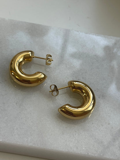 Paula earrings